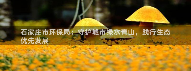 jdb平台app