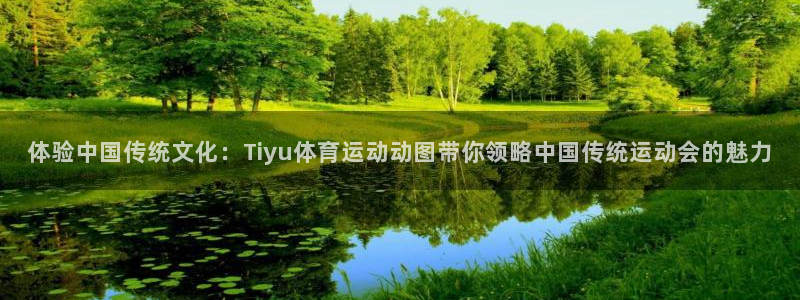 b体育必一运动官网：体验中国传统文化：Tiyu体育运动动图带你领略中国传统运动会的魅力